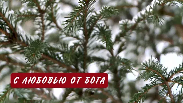 Уютное ненастье (зима)