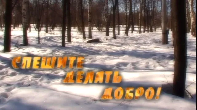 Что нас сближает?