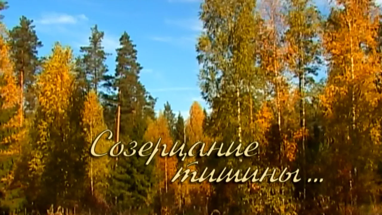В осеннем лесу