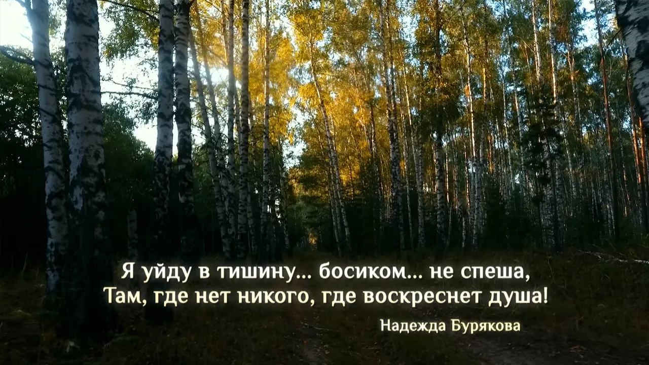 На лесной дорожке (лето)