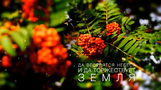 Весенний лес (весна)