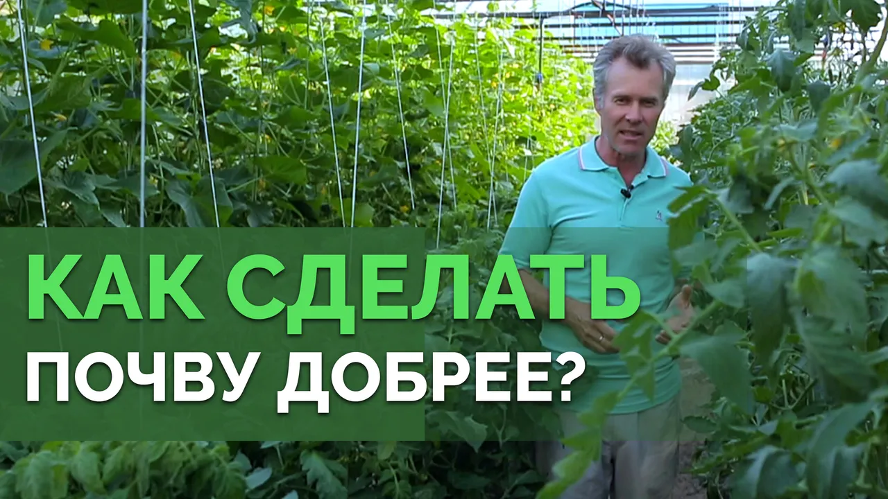 Чем удобрять огород?